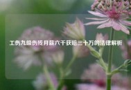 工伤九级伤残月薪六千获赔三十万的法律解析