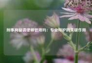 刑事拘留请律师管用吗：专业辩护的关键作用