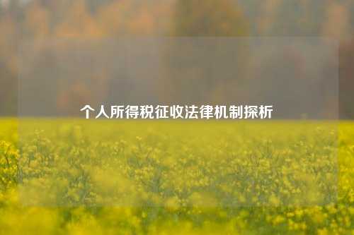 个人所得税征收法律机制探析