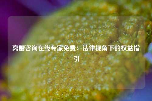 离婚咨询在线专家免费：法律视角下的权益指引
