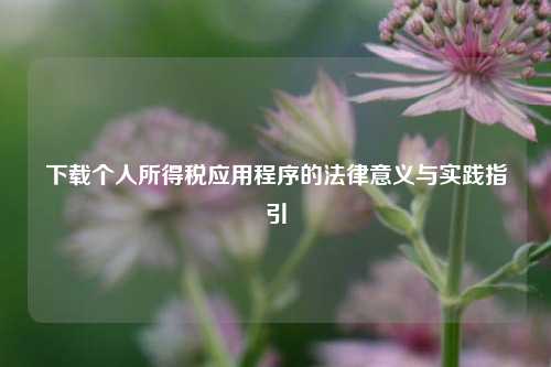 下载个人所得税应用程序的法律意义与实践指引