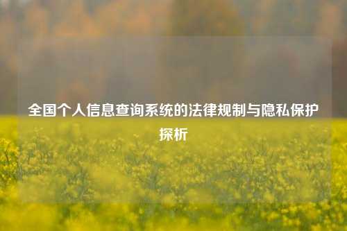全国个人信息查询系统的法律规制与隐私保护探析
