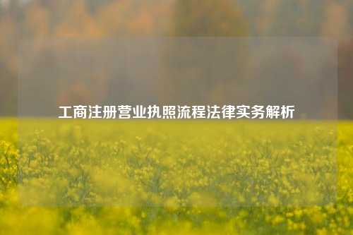 工商注册营业执照流程法律实务解析
