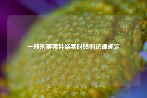 一般刑事案件结案时限的法律规定