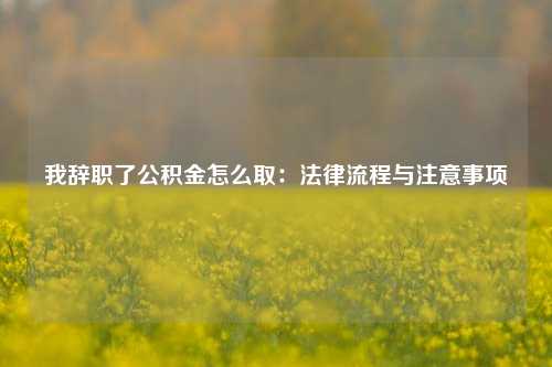 我辞职了公积金怎么取：法律流程与注意事项
