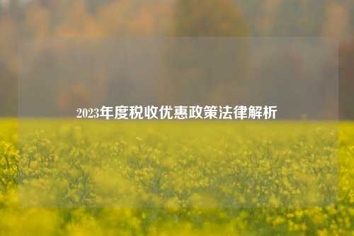 2023年度税收优惠政策法律解析