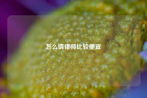 怎么请律师比较便宜