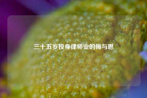三十五岁投身律师业的悔与思