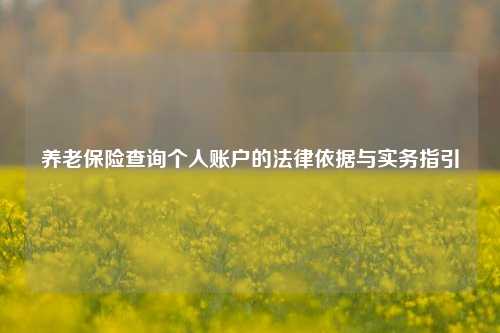 养老保险查询个人账户的法律依据与实务指引