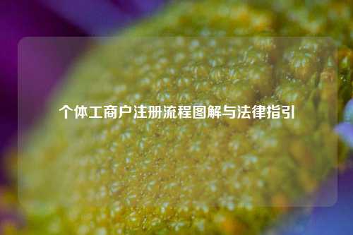 个体工商户注册流程图解与法律指引