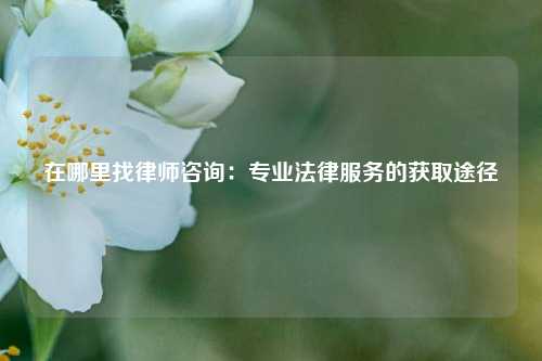在哪里找律师咨询:专业法律服务的获取途径
