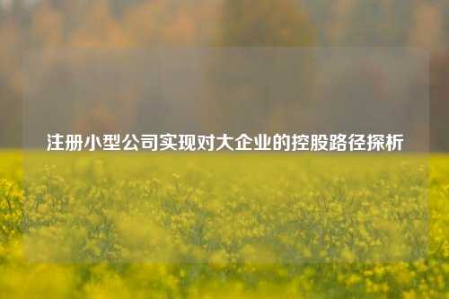 注册小型公司实现对大企业的控股路径探析