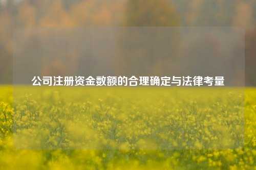 公司注册资金数额的合理确定与法律考量