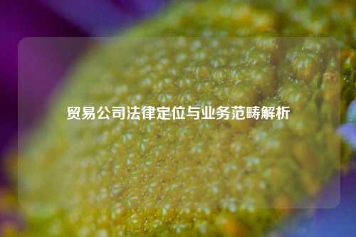 贸易公司法律定位与业务范畴解析