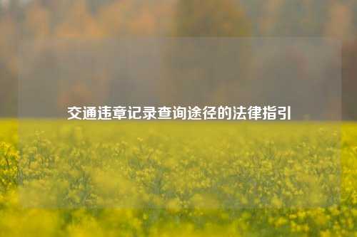 交通违章记录查询途径的法律指引